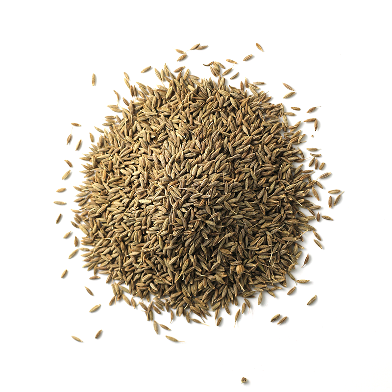 BEST-QUALITY-GREEN-CUMIN-SEEDS.png