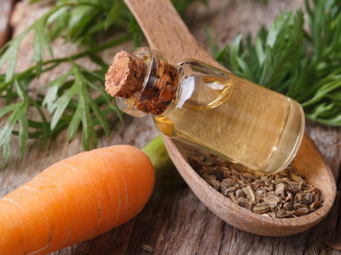 CARROT-SEED-OIL.jpg
