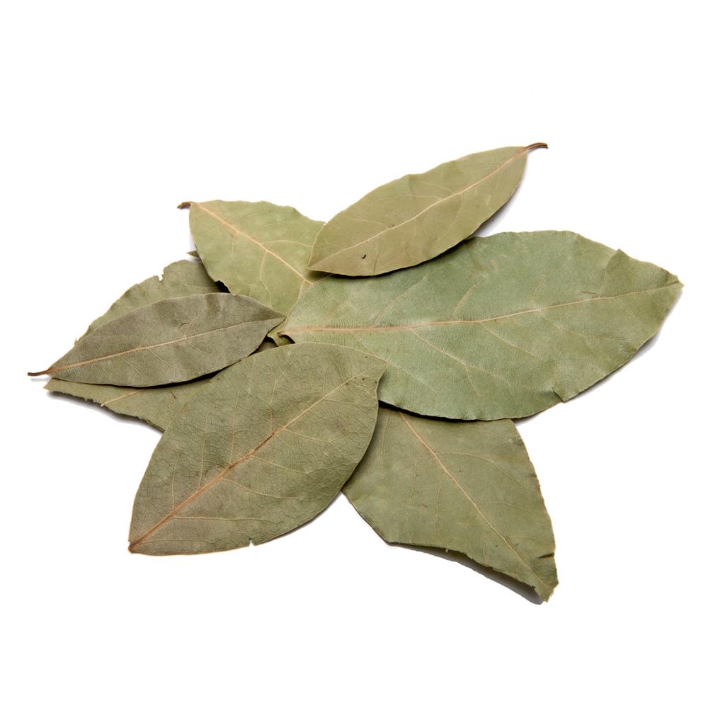 EXCELLENT-QUALITY-BAY-LEAVES-FOR-EXPORT-1.jpg