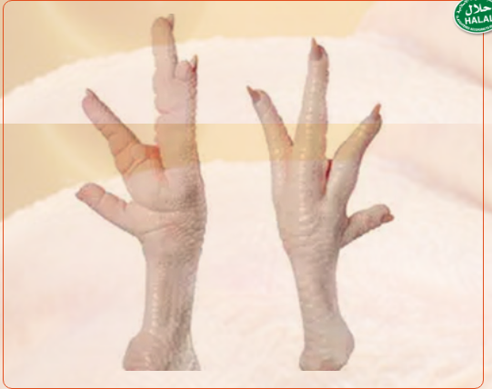 FROZEN-CHICKEN-FEET.png