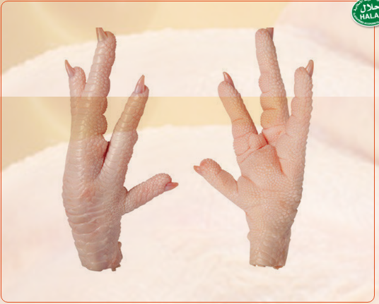 FROZEN-CHICKEN-PAW.png