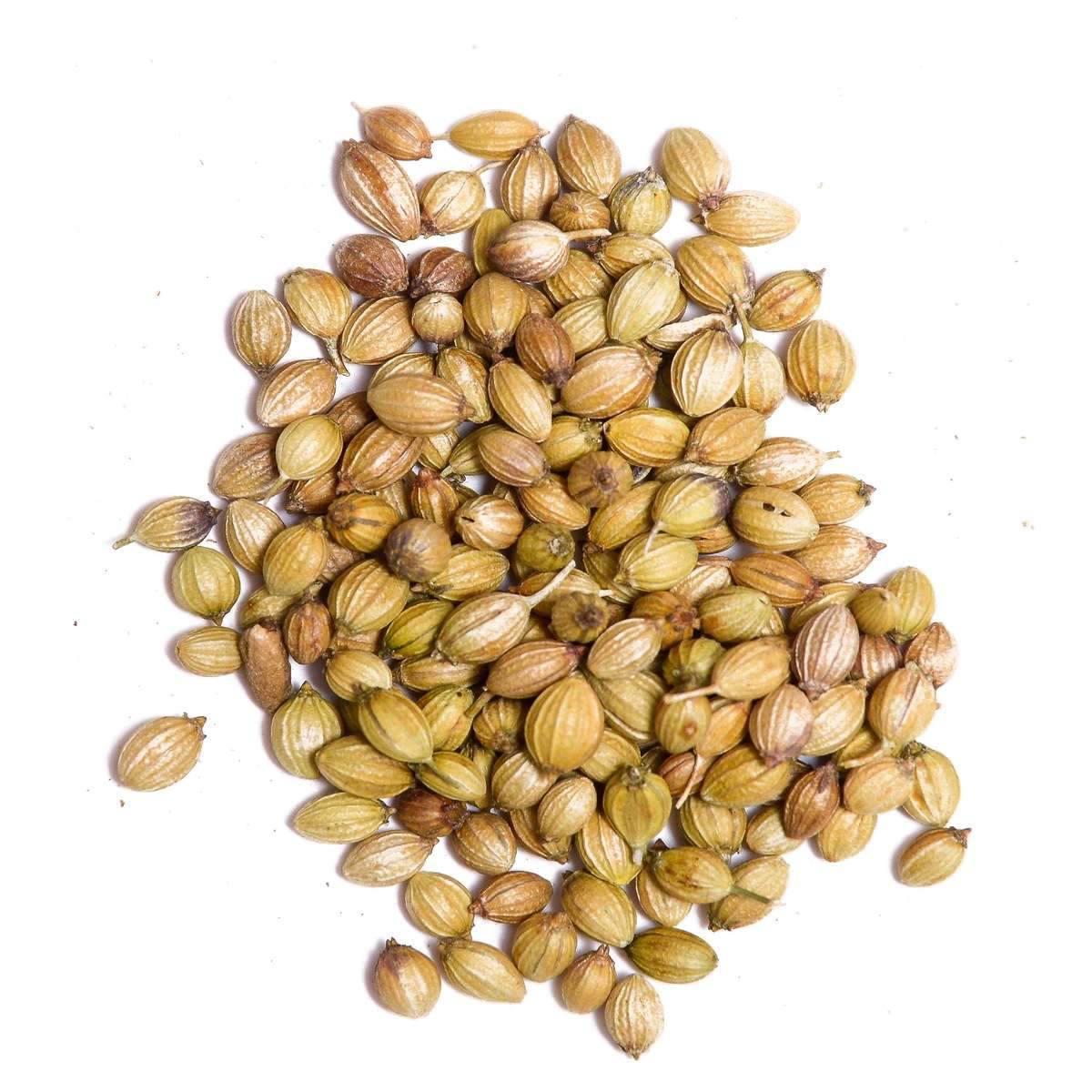 INDIAN-CORIANDER-SEED-IN-BEST-PRICEa.jpg